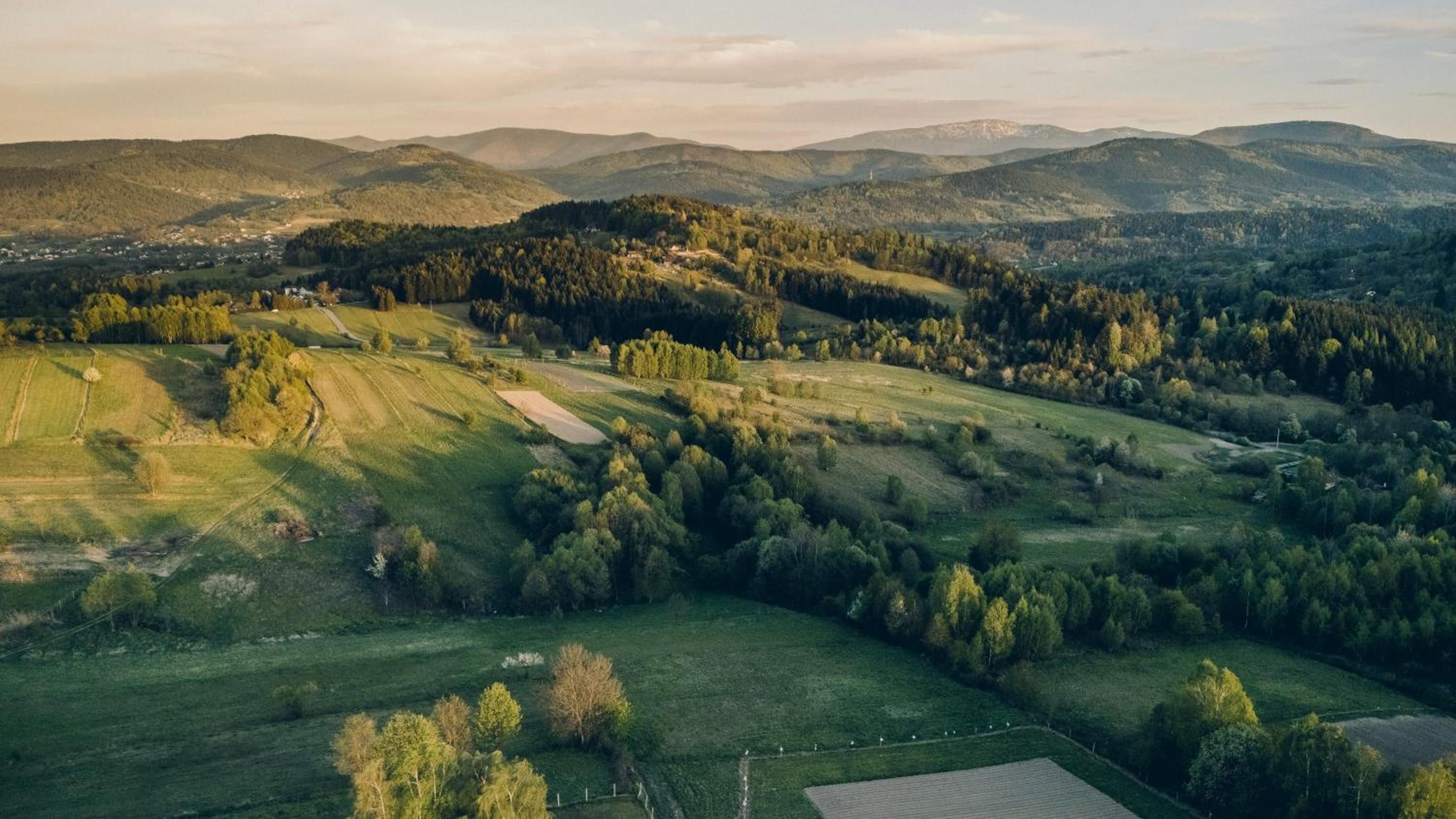 Panorama zielonych wzgórz w okolicy Krzeszowa